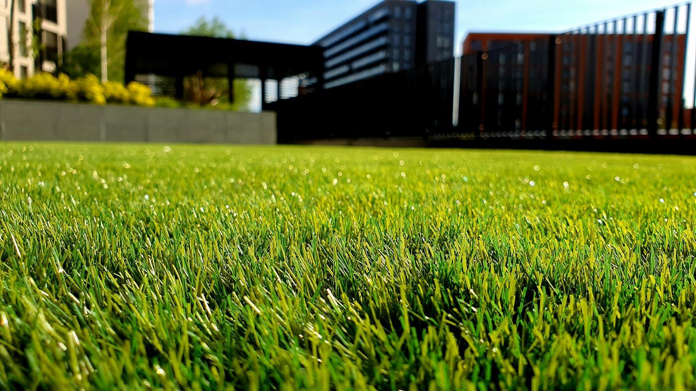 Close-up of a freshly mown vibrant green lawn sparkling in sunlight