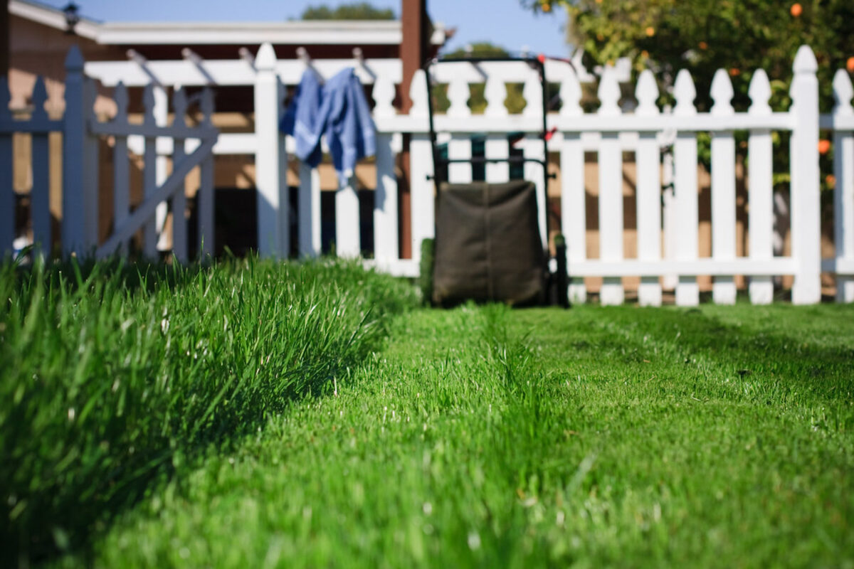 Lawn mower standing on a freshly cut striped suburban lawn beside a white picket fence