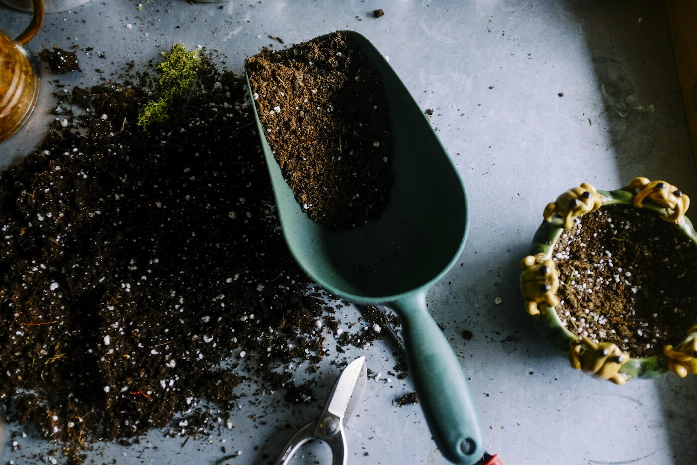 Gardening tools — a soil scoop and secateurs — with potting mix on a workbench